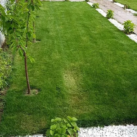 Villa Alreem *