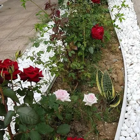 Villa Alreem