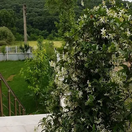 Villa Alreem *
